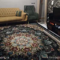 فرش ۱۲ متری در حد نو