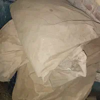 تاط برای مشک ۲۰بشکه ای