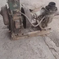 مارگو