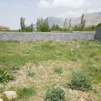 زمین