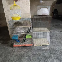 قفس پرنده