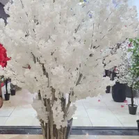 درختچه شکوفه