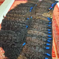 مرکزموی طبیعی