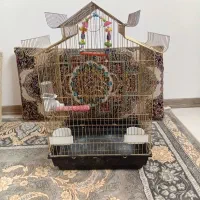 قفس طلایی