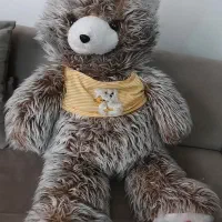 خرس بزرگ