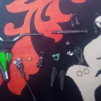 وسایل دوچرخه معاوضه هم میکنم با پرنده