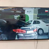 تلویزیون