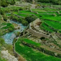 سیمکارت همراه اول