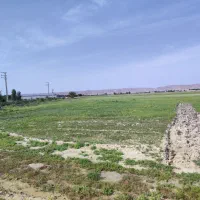 زمین  سر جاده اصلی