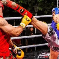 آموزش خصوصی کیک بوکسینگ و MMA