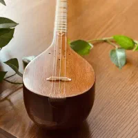پارتنر تمرین سه تار