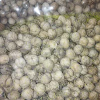 گردوی پرمغز محلی