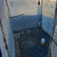 فروش قفس کفتر