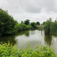 اکازیون قطعات داخل طرح هادی کنار رودخانه برق و گاز