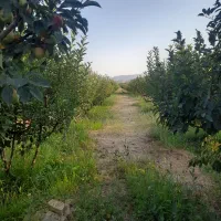 1800متر-باغچه-40متر-بنا-5سال-ساخت