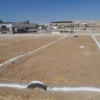 فروش زمین در قبرستان جدیده