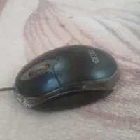 مورس کیبوزد