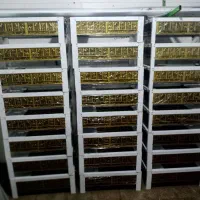 حمیدیه|کلکسیون و سرگرمی|حمیدیه, |دیوار