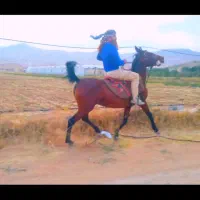 مادیون ۴سال همه چی تمام