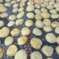 برگه هلو