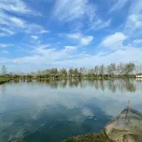 خانه-محوطه-با-استخرماهی-53هزارمتر-دارای-سند