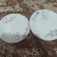 ارکوپال دودست