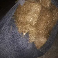 کاه کلشی مخصوص بسترقارچ یا مرغ و جوجه سگ گوسفندو