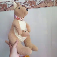 کانگرو