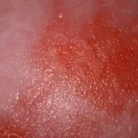 رب گوجه فرنگی خانگی کاملا ارکانیک وبهداشتی