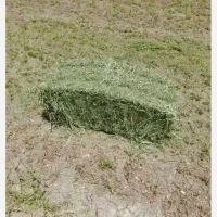 پرس یونجه