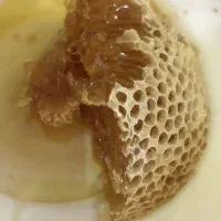 عسل طبیعی