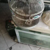 سهره خاکی