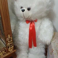 خرس بزرگ و زیبا