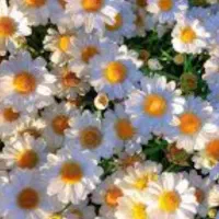 پرستار از کودک