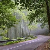 تور دو روزه کمپی لوکس جنگل های مازندران