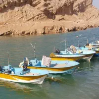 مجوز صیادی 4 رقمی قدیمی