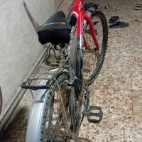 دوچرخه|دوچرخه، اسکیت، اسکوتر|رامشیر, |دیوار