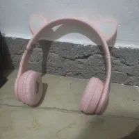 دزدبتلپ