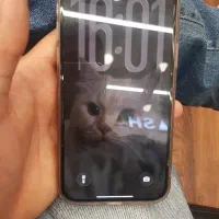 ایفون ۱۳ نرمال