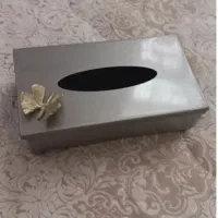 سطل و جادستمال کاغذی نو نو و تروتمیز
