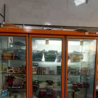 یخچال فریز ۳درب برند Electro Steel فروشگاهی