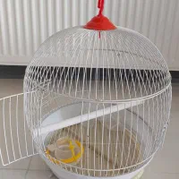 قفس پرنده