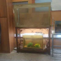 آکواریم و پایه