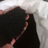 سیاهدانه گلستان