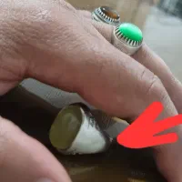 شرف شمس