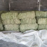 یونجه بسته 90 سانتی