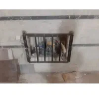 جوشکاری سیارتعمیرات دروپنجره