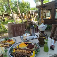 استخدام نیرو (بوفه چی) در باغ رستوران ملل پلاس