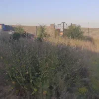 فروش باغچه روستای قلعه خواجه دارای برق واب مصرفی