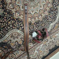 هیکلی
